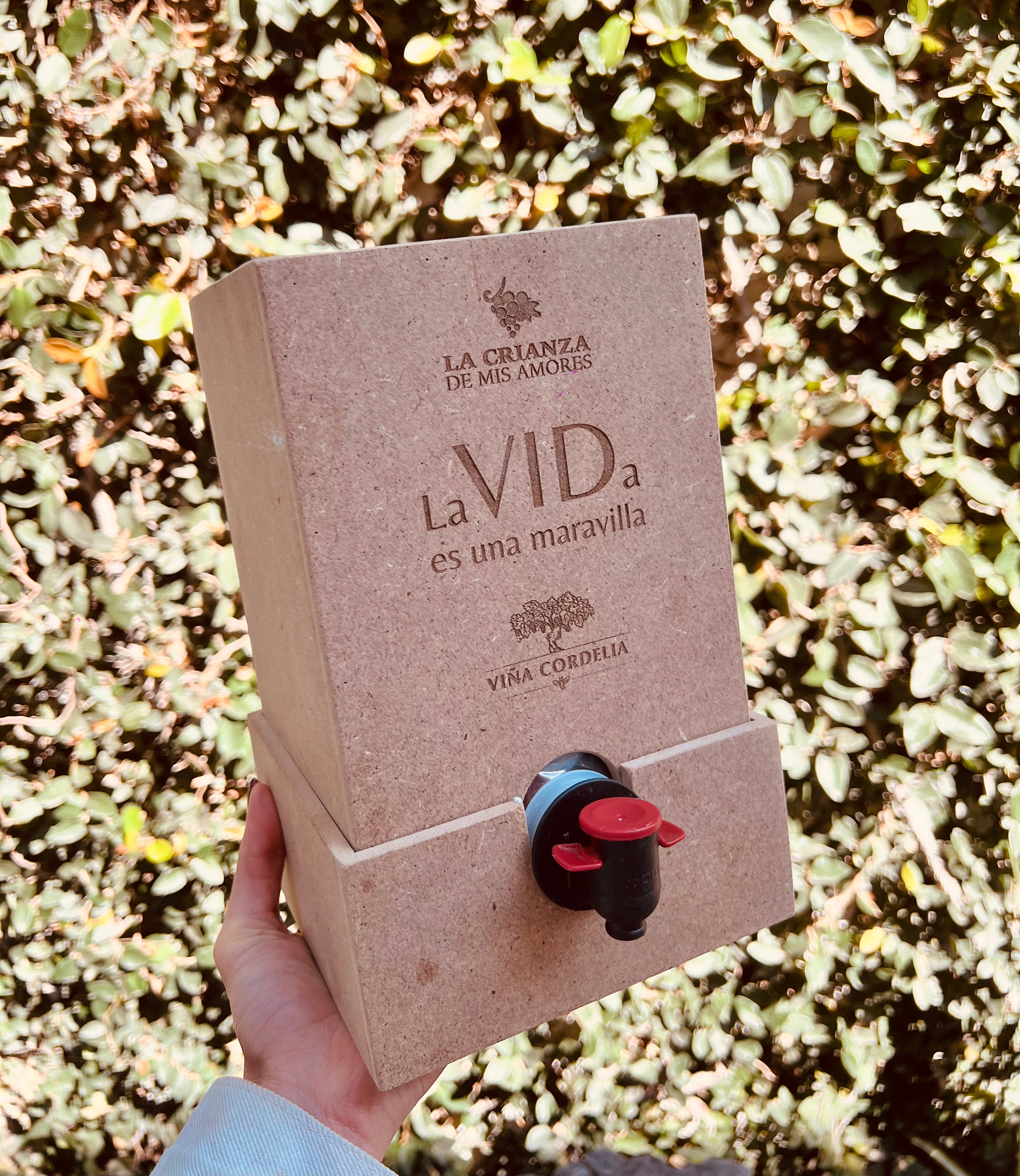 Repuesto de Vino en Caja