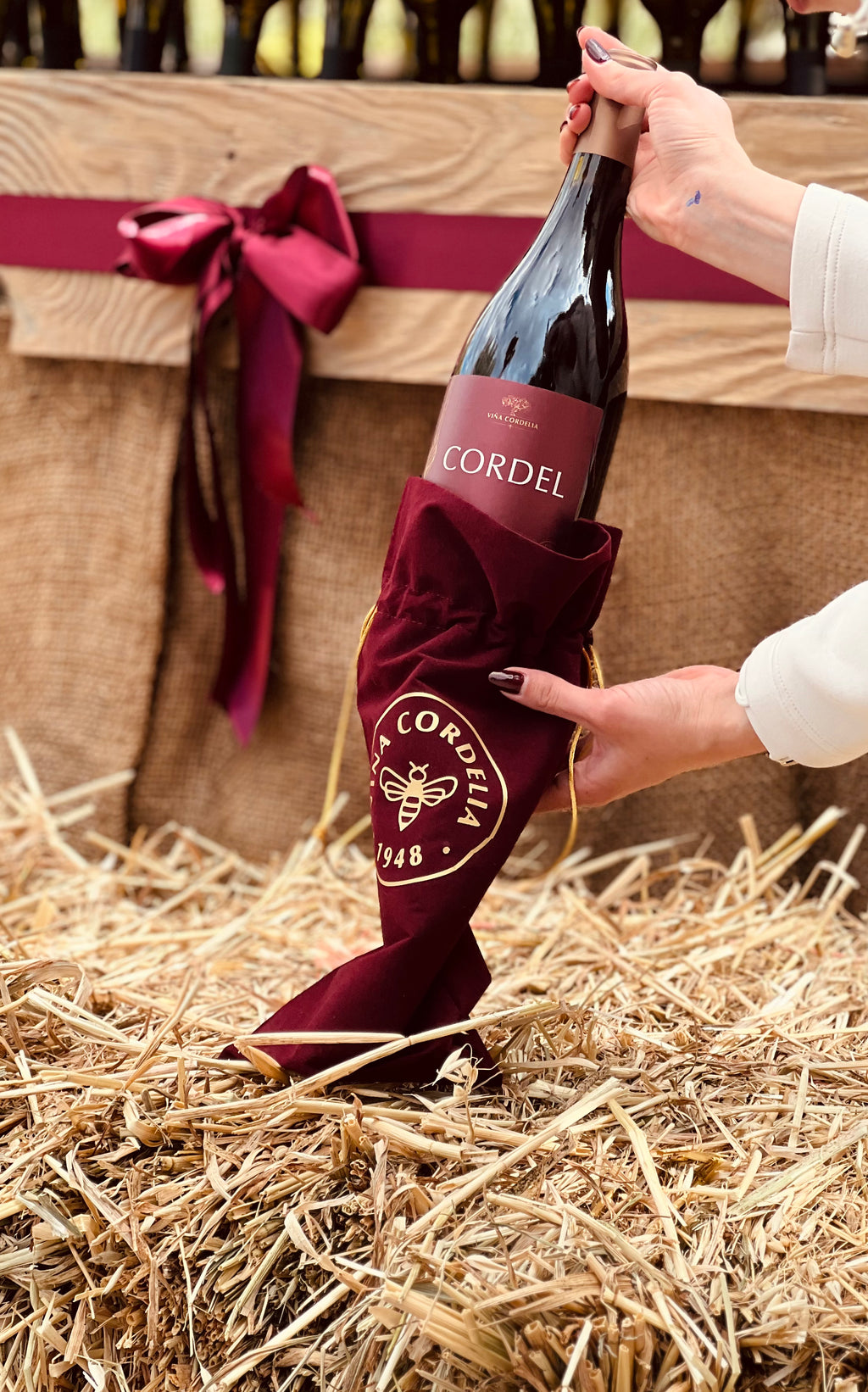 CORDEL - Edición Navideña