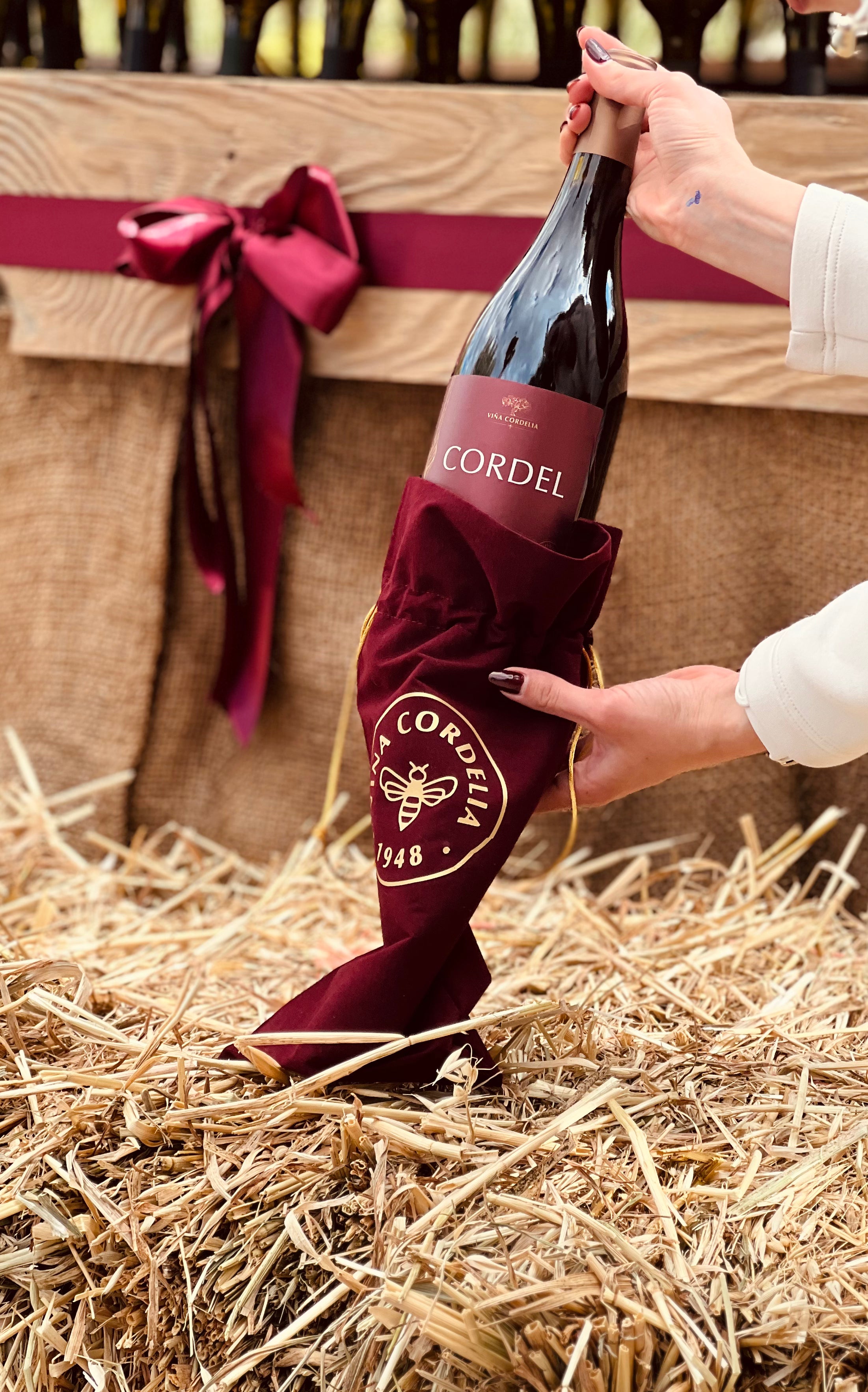 CORDEL - Edición Navideña